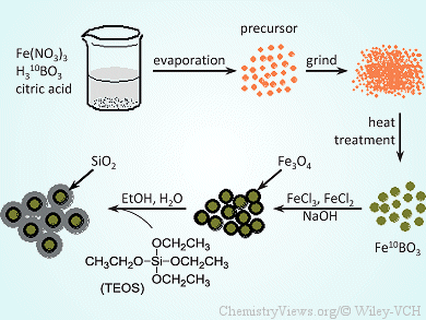 Fe10BO3/Fe3O4/SiO2 Nanocomposites