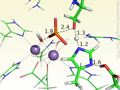 Uncovering the Mechanism of Protein Phosphatase 5