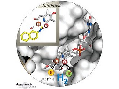 Angewandte Chemie 27/2013: New Guidance