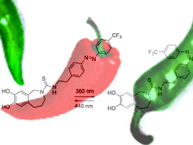 Azobenzene Derivatives Switch Off the Heat