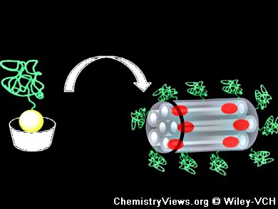 Cyclodextrin-Modified Zeolites as Drug-Delivery Nanocontainers