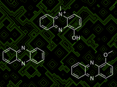 Networking for Natural Products