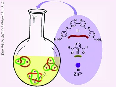 Three Topological Structures in One Pot