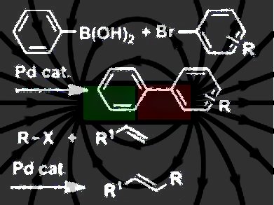 Magnetic Catalytic