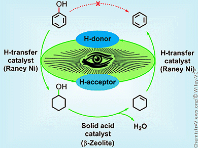 A Tandem for Biomass