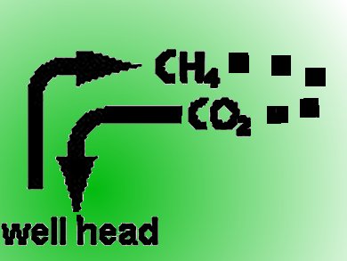 CO2 Deposits in Shale-Gas Wells