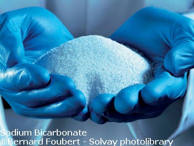 South-East Asia’s Largest Bicarbonate Plant