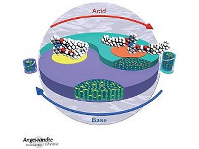 Angewandte Chemie 41/2013: Fighting Resistance