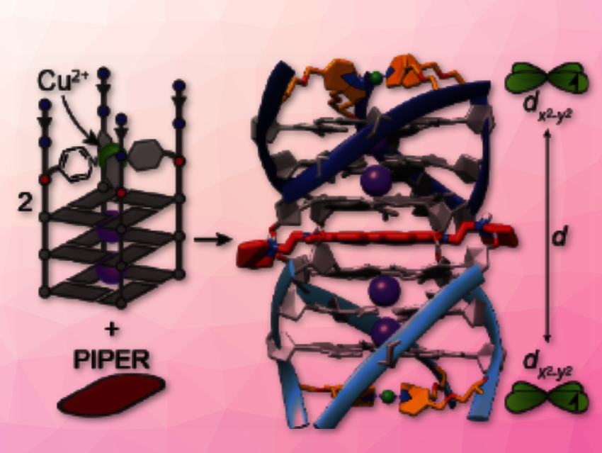 Structural Examination of DNA Aggregates