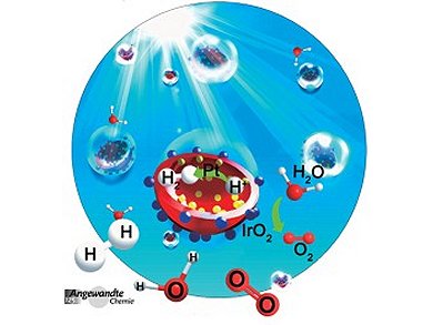 Angewandte Chemie 43/2013: Making and Breaking Bonds