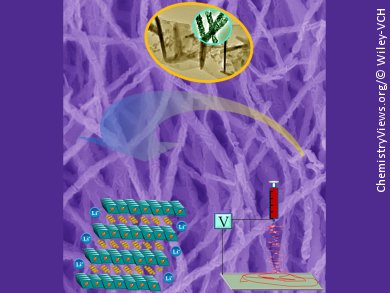 Home-Spun Fibers