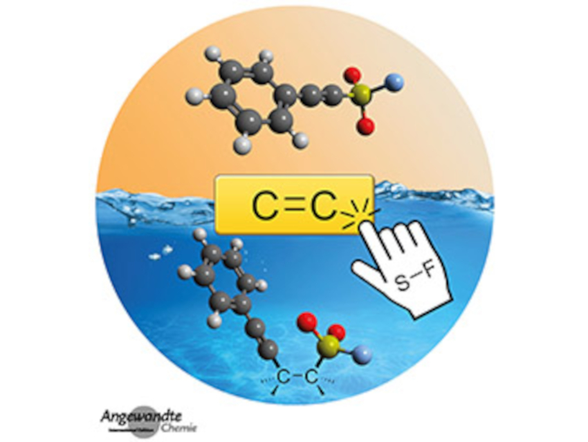 Angewandte Chemie 12/2022: Pathways