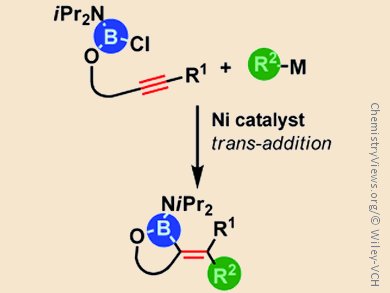 Fine-Tuning Carboborations