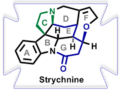 Getting to the Core of Strychnos Alkaloids