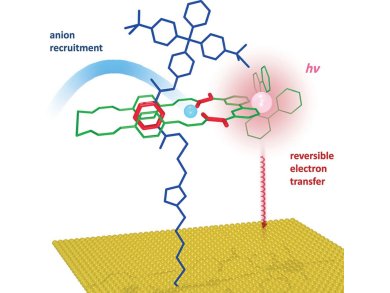 Anion Sensing by Surface-Assembled Rotaxanes