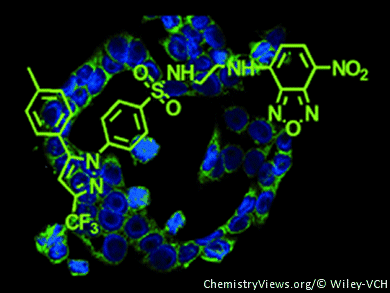 Early Detection of Cancer