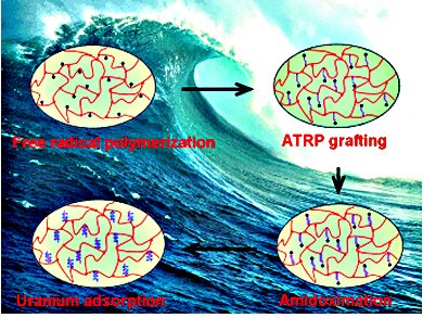 From the Ocean into the Reactor