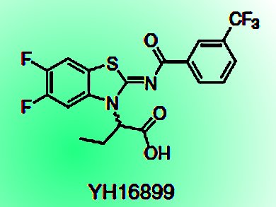 A Drug to Fight Metastasis Selectively