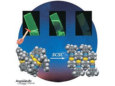 Angewandte Chemie 49/2013: Origins