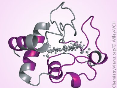 How Do Desolvated Proteins Fold?