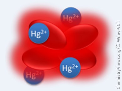 From Dark to Light: Fluorescent Detection of Hg2+