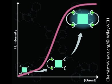 Fluorescent Sensor for Rapid Metabolic Disorder Screening