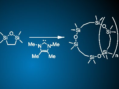 High Molecular Weight Cyclic Polymers