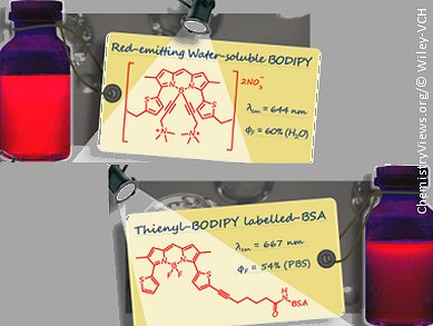 Water-Soluble Boron Dyes