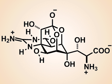 Navigating the Channels of Total Synthesis