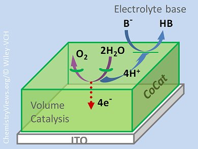 Water Oxidation by Amorphous Cobalt-Based Oxides