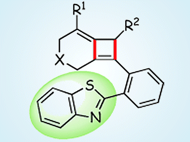 Faster [2+2] Cycloadditions