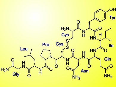 Oxytocin: The Secret of Faithful Love?