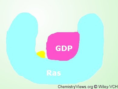 Targeting Cancer’s Mastermind