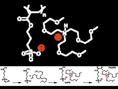 Liquid Polyelectrolyte as Solvent