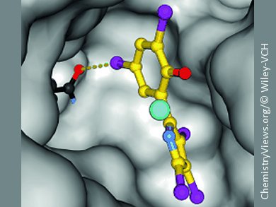 A New Approach to Malaria Treatment?