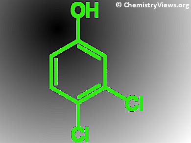 Elastic Halogen Bonds