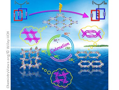 Soft Porous Frameworks