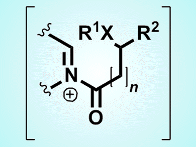 Direct Imine Acylation