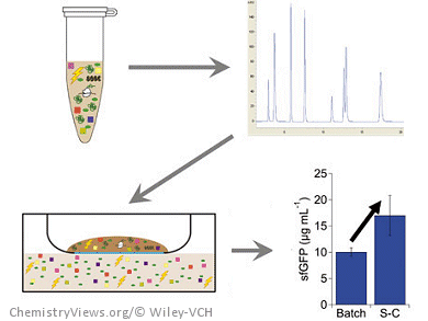 Cell-Free Protein Synthesis