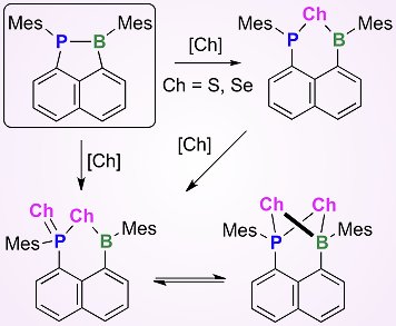 First Examples of P–Chalcogen–B Phenalenes