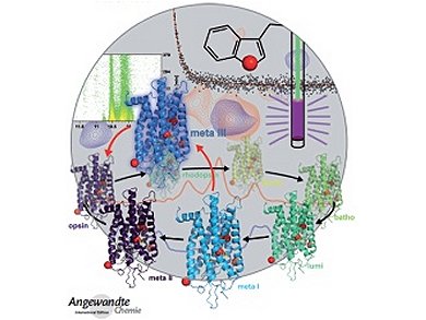 Angewandte Chemie 8/2014: A Long History