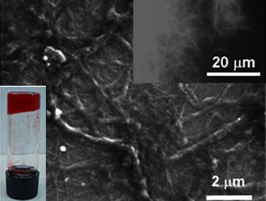 Organogelator for Chlorinated Solvents