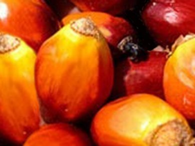 Using Certified Sustainable Palm Oil