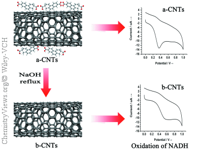 Uncovering the Mysterious Electrocatalysis of Carbon Nanotubes