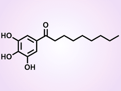 Inducing the Self-Digestion of Melanoma Cells