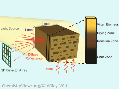 New Technique to Study Biomass Pyrolysis