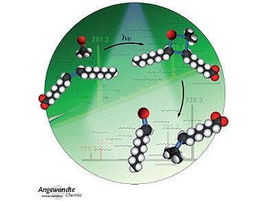 Angewandte Chemie 10/2014: A Steady Flow of Reactions