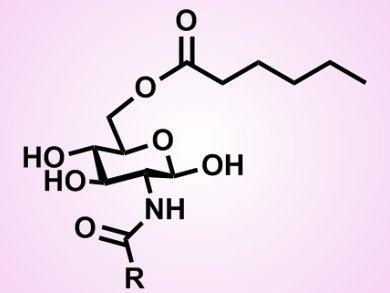 Enzyme-Catalyzed Synthesis of Glycolipids