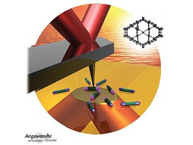 Angewandte Chemie 11/2014: Are Some Types of Research More Equal than Others?