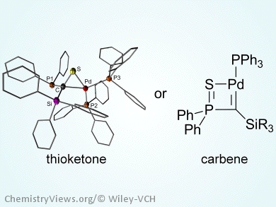 Substitution Effects on Palladium Carbene and Thioketone Complexes